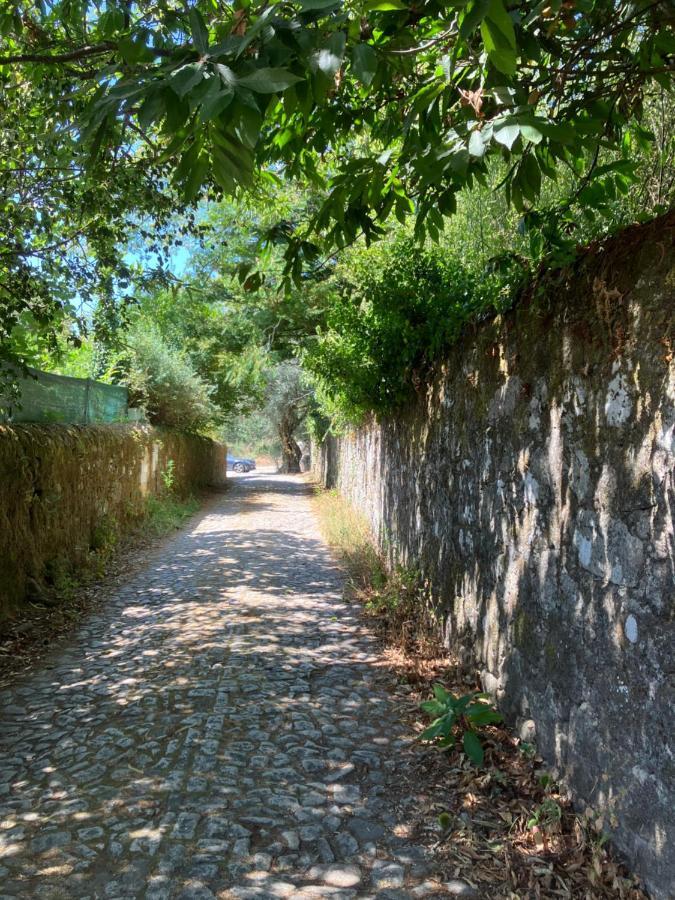 Casa Do Cruzeiro Do Outeiro -Comfort And Tradition 蓬德利马 外观 照片